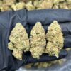 Buy Papaya Punch Strain UK