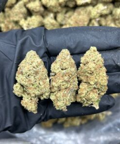 WEED
